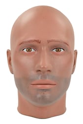 Painted Male Mannequin Head