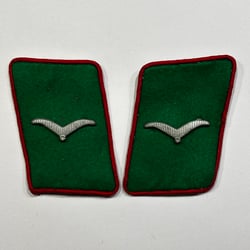 LW Field Division Collar Tabs – Flak /...