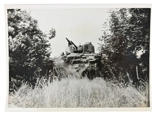US WW2 Press Photo Normandy Hedgerows