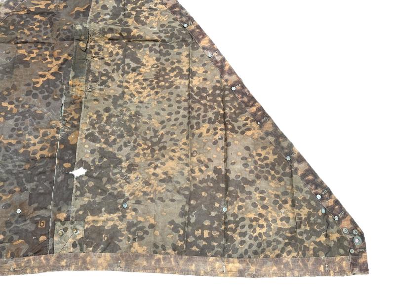 W-SS Plane Tree 6/6 Shelter Quarter