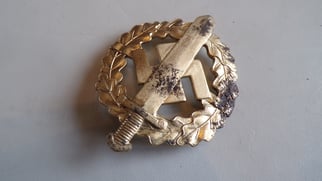 Early SA Sports Badge in Gold (Oberste SA-Führung)