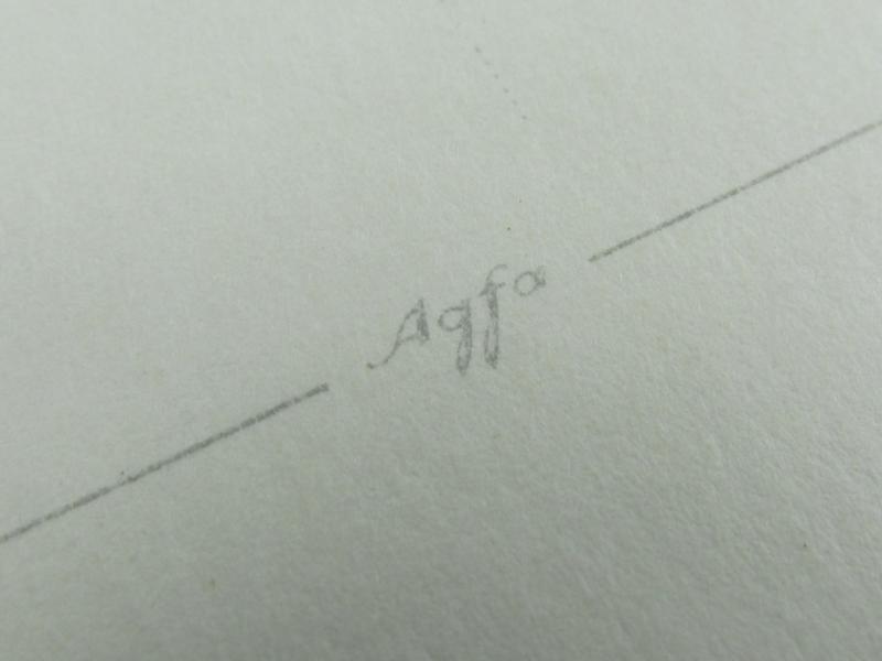 Portrait Photo of a Luftwaffe Soldier With his Wife