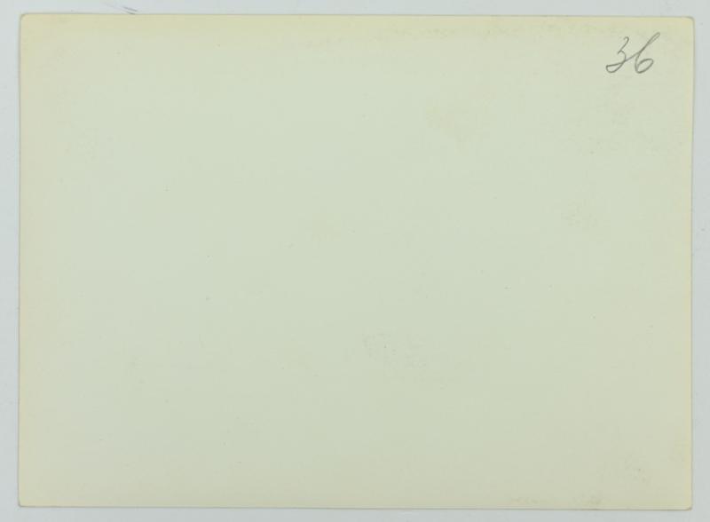 Dutch NSB Picture