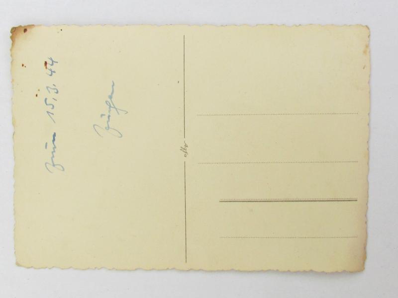 Portrait Photo ( Postcard ) of a Luftwaffe Flak Member