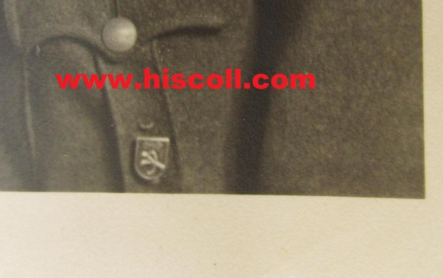 Attractive - and with certainty rarely found! - period portrait picture-postcard depicting a WH (Heeres) 'Feldwebel des Artillerie-Regiments 122 "Greif" (proudly wearing this tunic with (rarely seen!) "Greif"-'Traditions-Abzeichen'