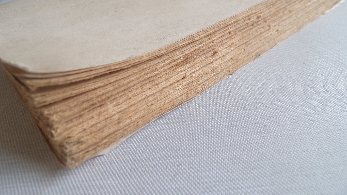 Extraits de Mein Kampf by E.L Michel