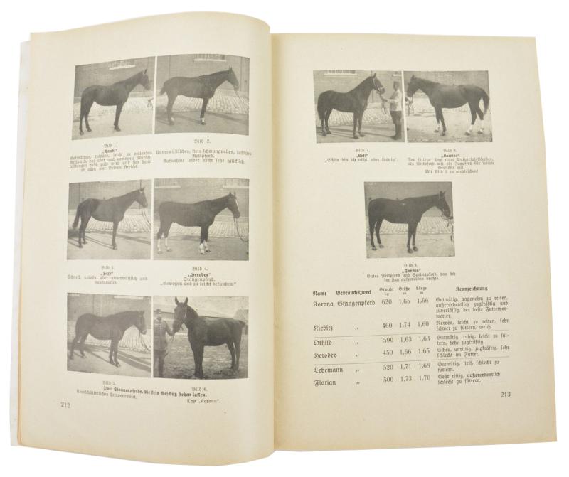 German WH Magazine 'Artilleristische Rundschau' 1936