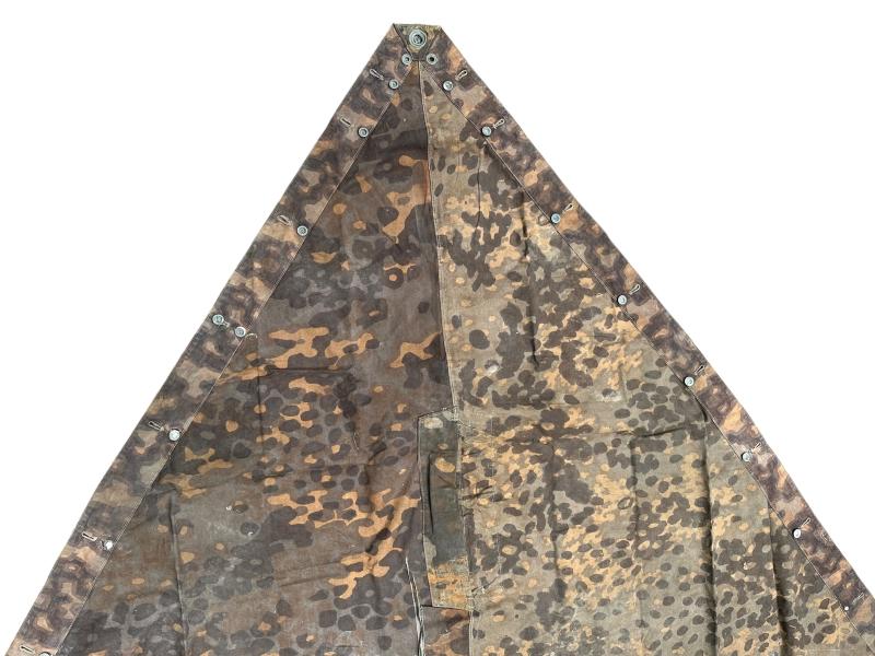 W-SS Plane Tree 6/6 Shelter Quarter