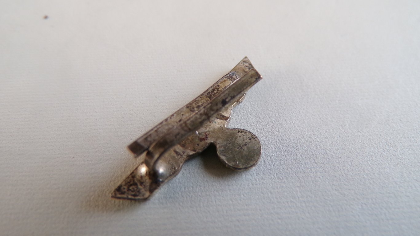 Long Service Award (Dienstauszeichnung)