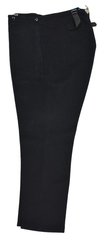 German NSDAP Trousers