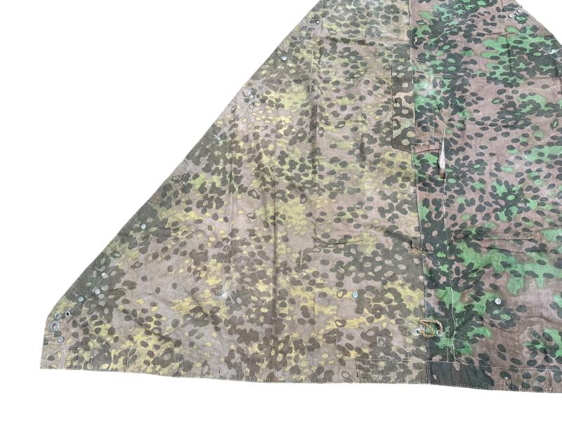 W-SS Plane Tree 6/6 Shelter Quarter