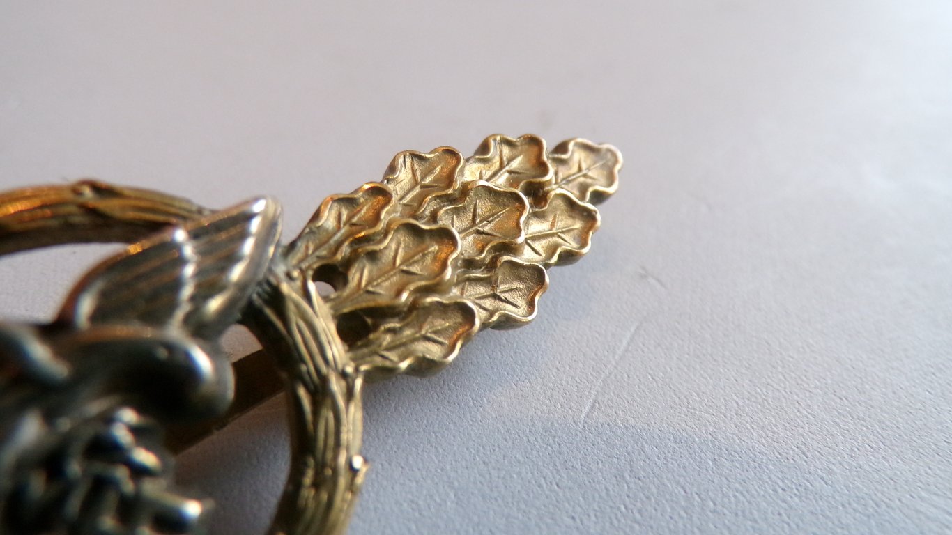 Frontflugspange fur Transportflieger in Gold