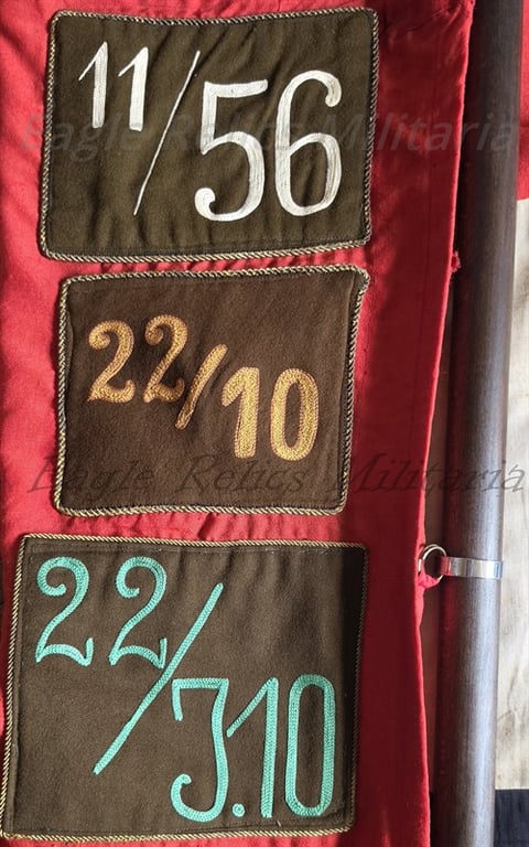 SA Sturm Flag 5 patches complete with Pole & Topper A Very Early Flag