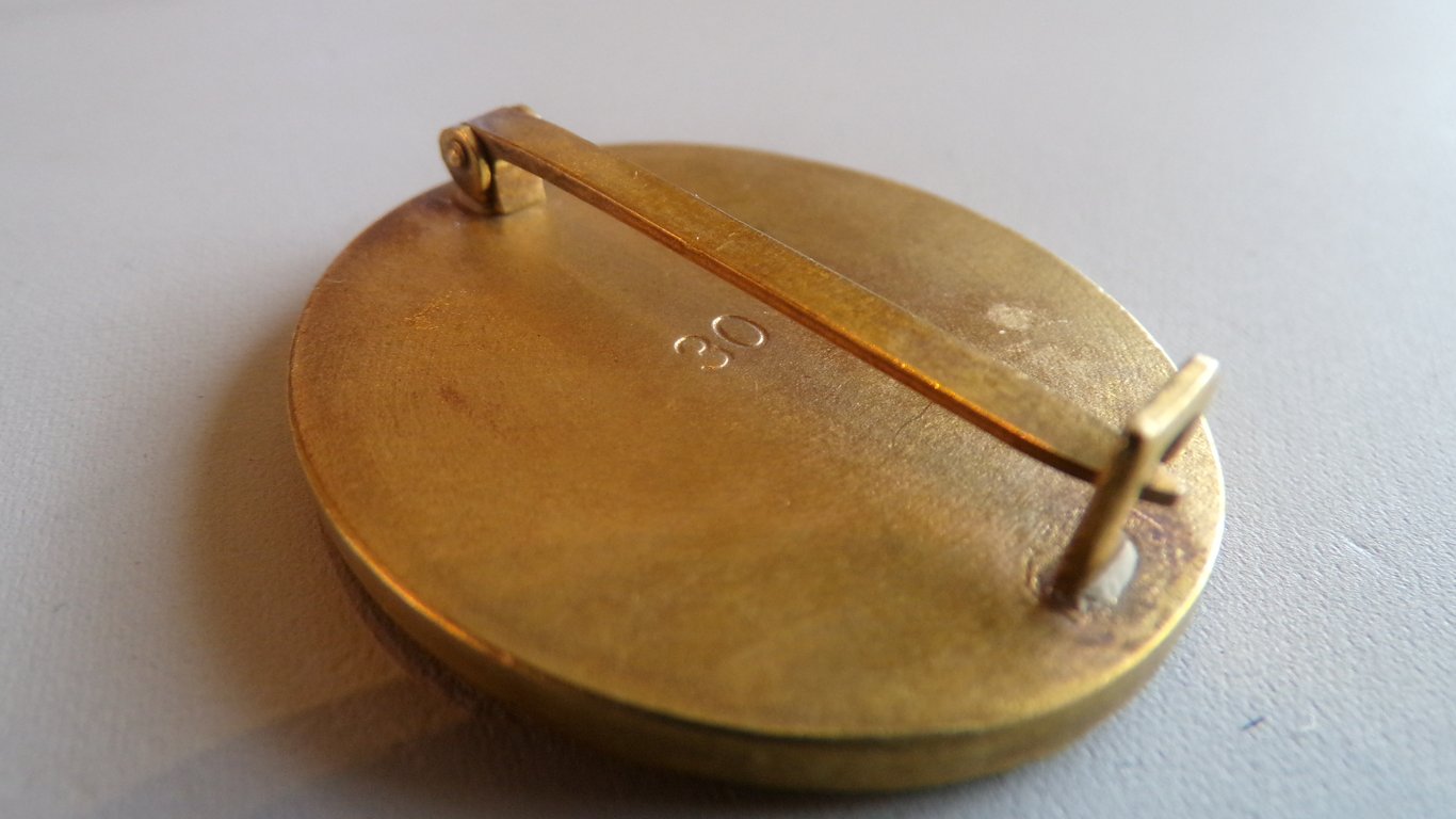 Verwundetenabzeichen in Gold