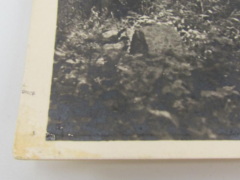 Postcard : Unsere Waffen-SS