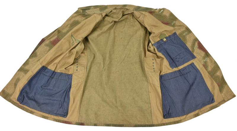 German LW Water & Tan Field Division Smock