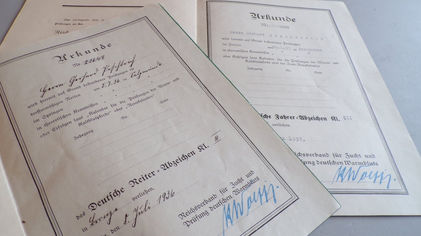 Reiterabzeichen & Fahrer Abzeichen