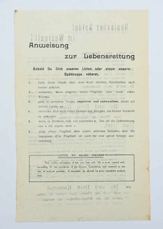 Allied WW2 Droppingsflyer 'Westwall'