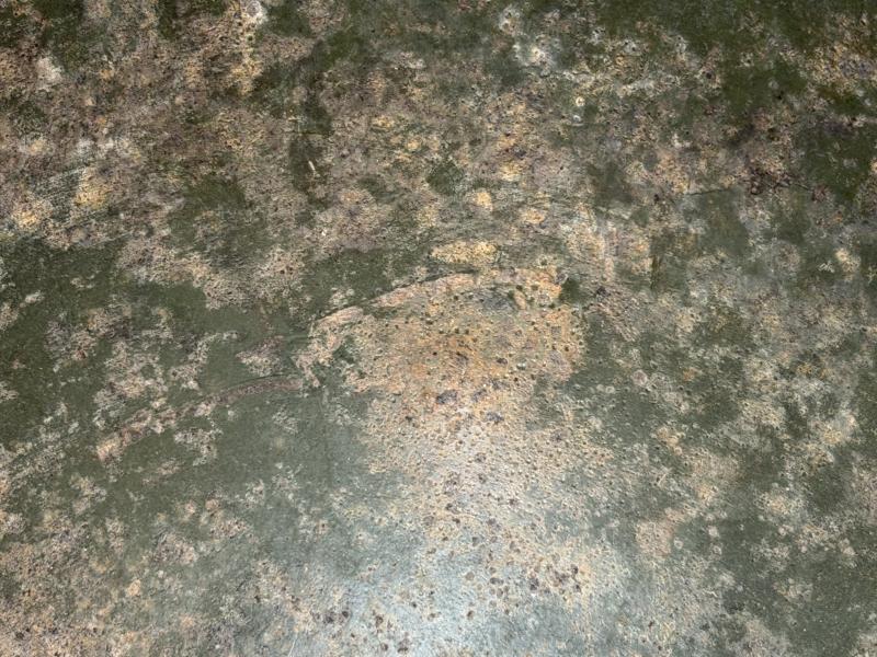 US M1 Fixed Bale Battle Damage Helmet Shell