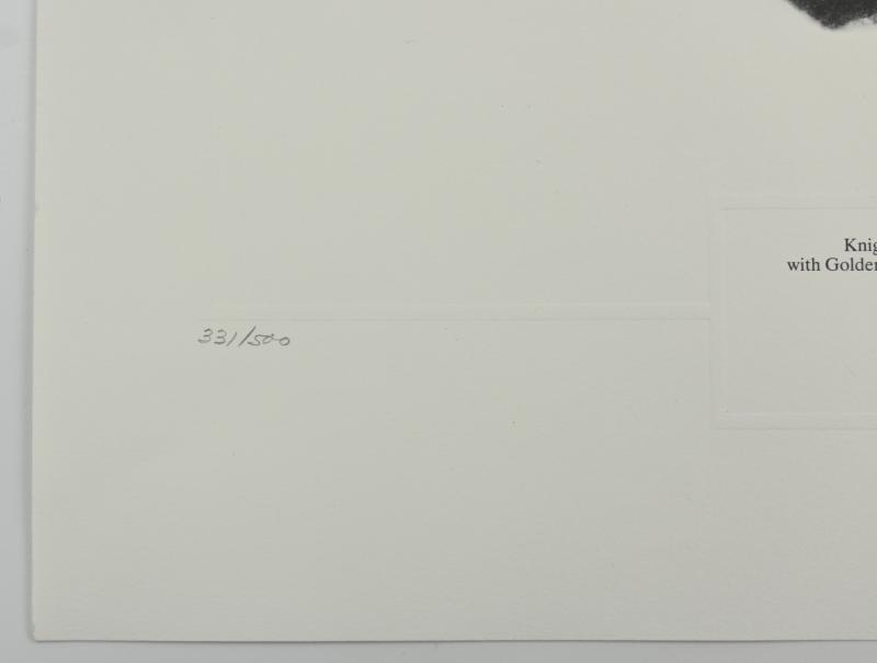 German Litho Print of LW Flight Ace 'Hans-Ulrich Rudel'