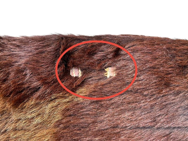 German Late-war Medical Backpack