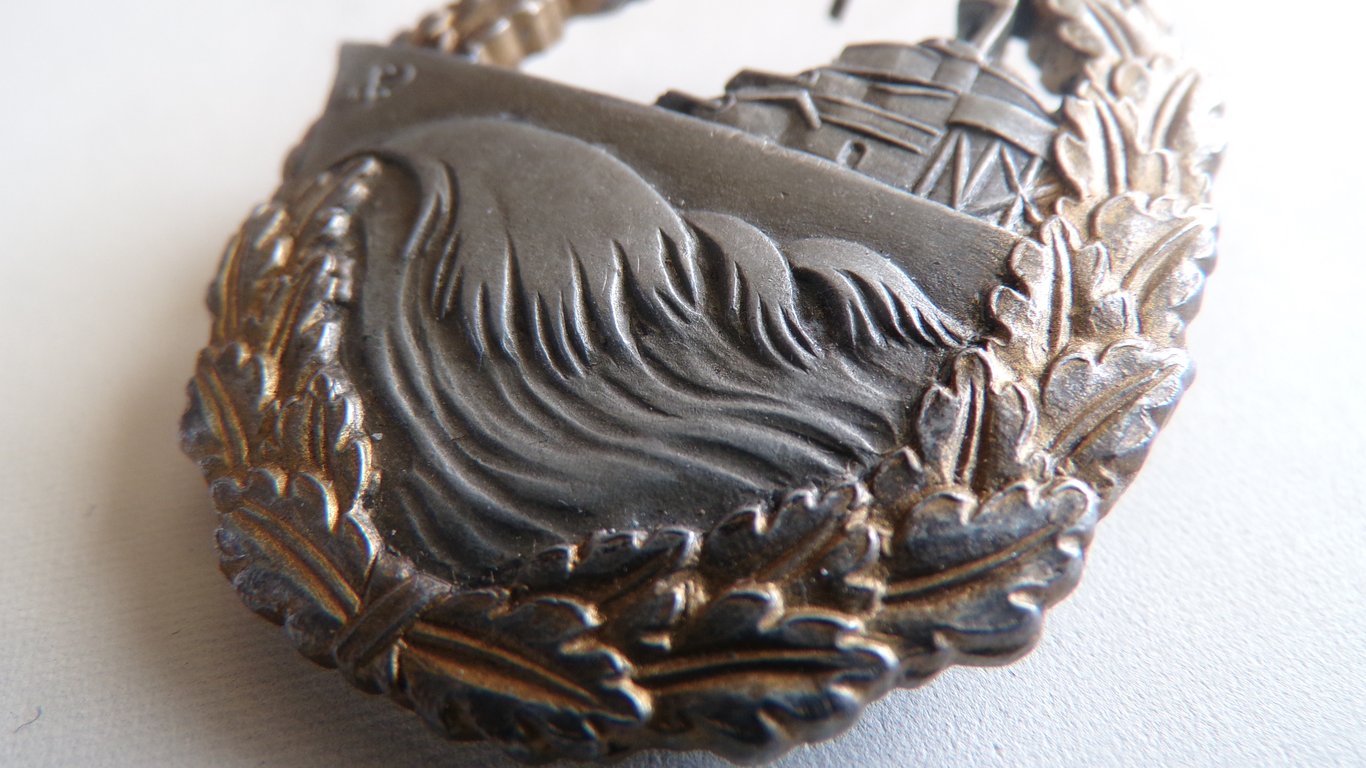 Zerstörerkriegsabzeichen (Destroyer Badge)