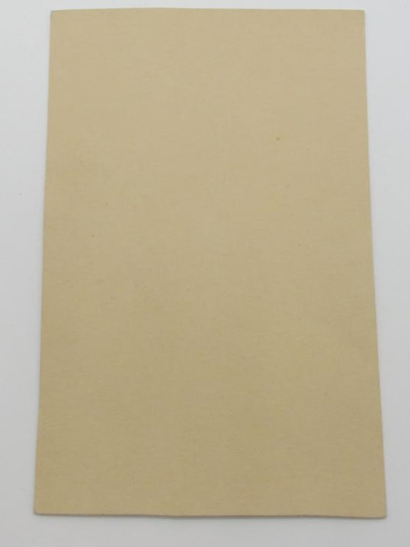 Portrait Photo of a Wehrmacht Soldier