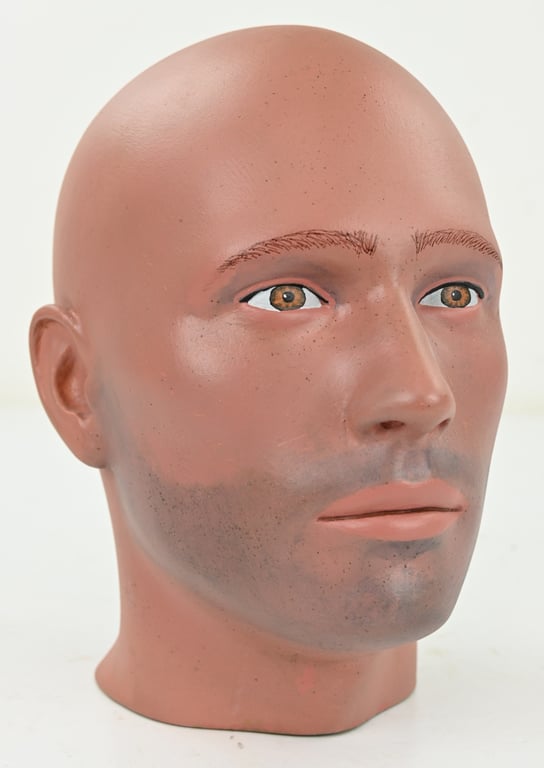 Painted Male Mannequin Head