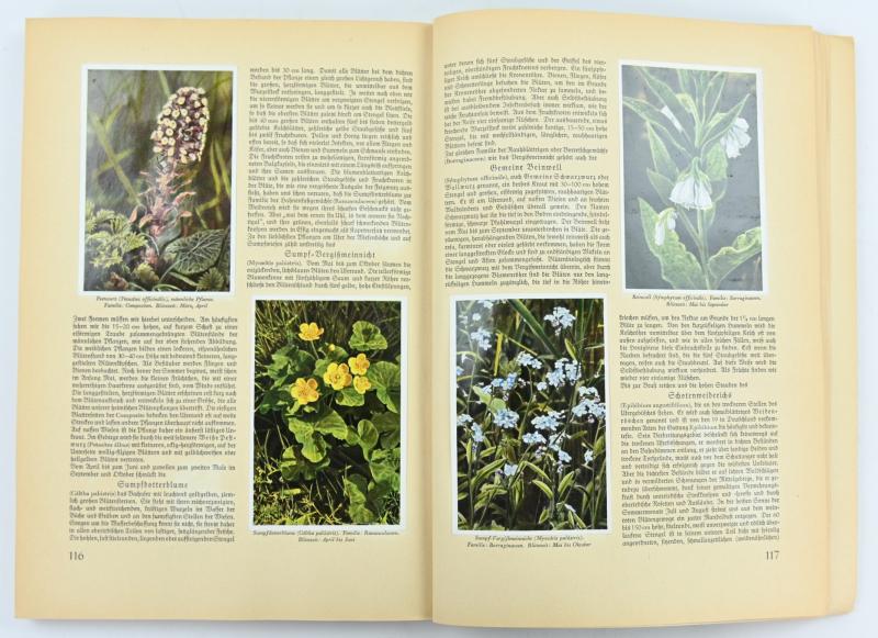 German Third Reich CigaretAlbum 'Aus Wald und Flur'