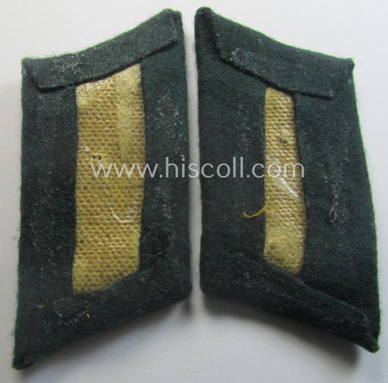 Pair of WH (Heeres) collar-tabs (ie. 'Kragenspiegel für Offiziere'): 'Offizier der TSD o. Truppensonderdienst'