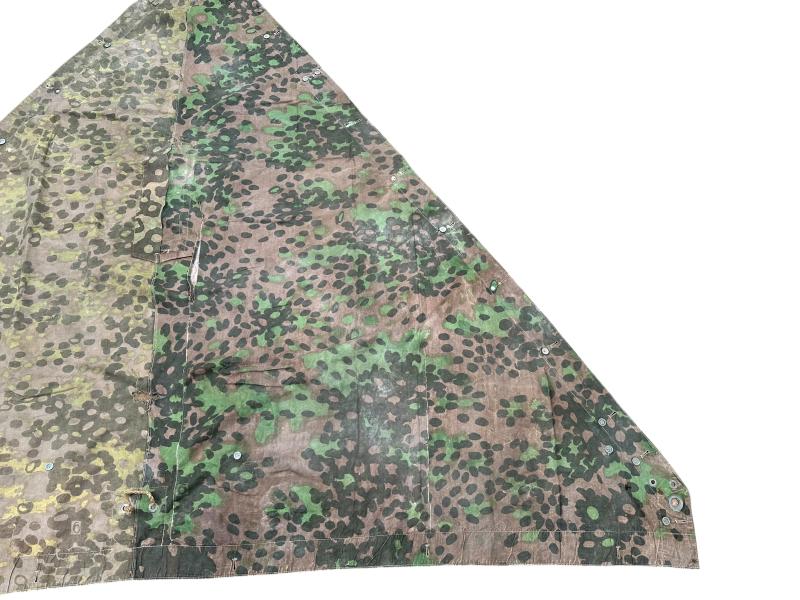 W-SS Plane Tree 6/6 Shelter Quarter