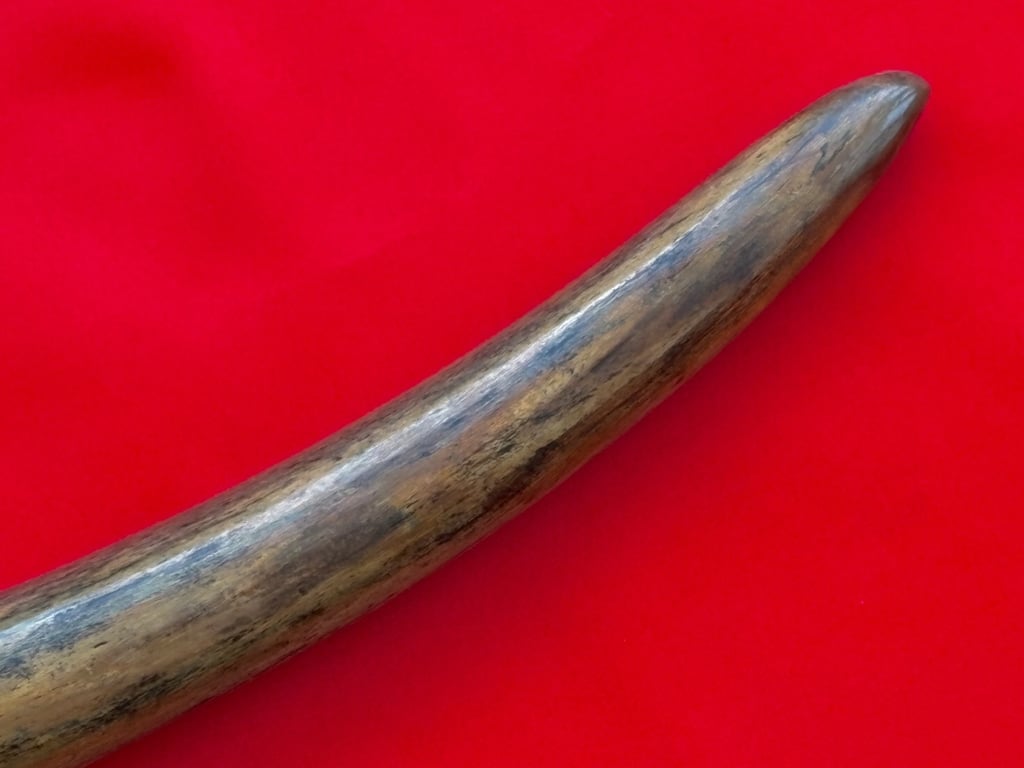 INCREDIABLE AUTHENTIC ORIGINAL 40,000 WOOLLY MAMMOTH TUSK.