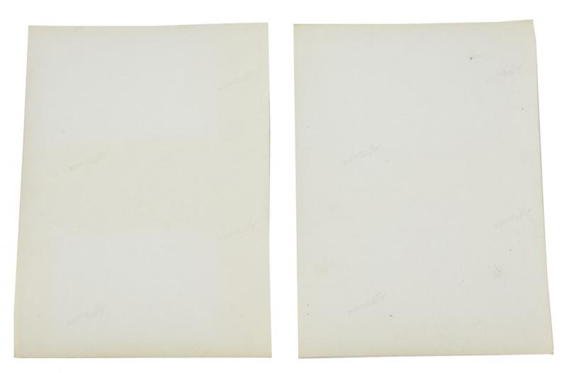 German Allgemeine-SS Picture set