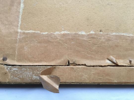 Waffen-SS Portrait Photograph