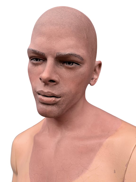 Stunning Painted Male Mannequin