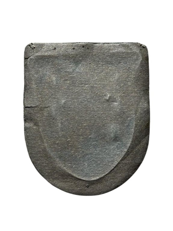 Campaign Shield with Award