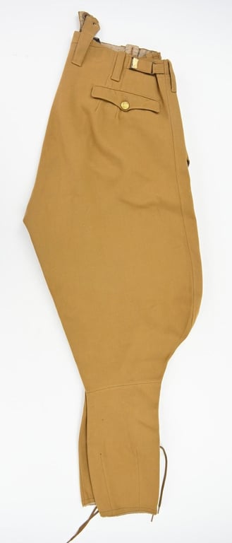 German NSDAP Political Breeches