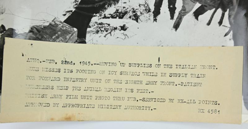 US WW2 Press Photo 'Italian front'