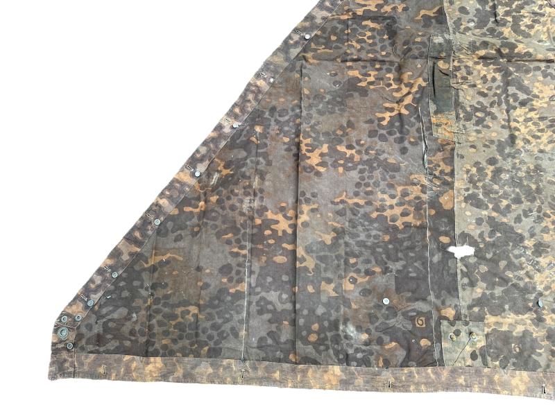 W-SS Plane Tree 6/6 Shelter Quarter