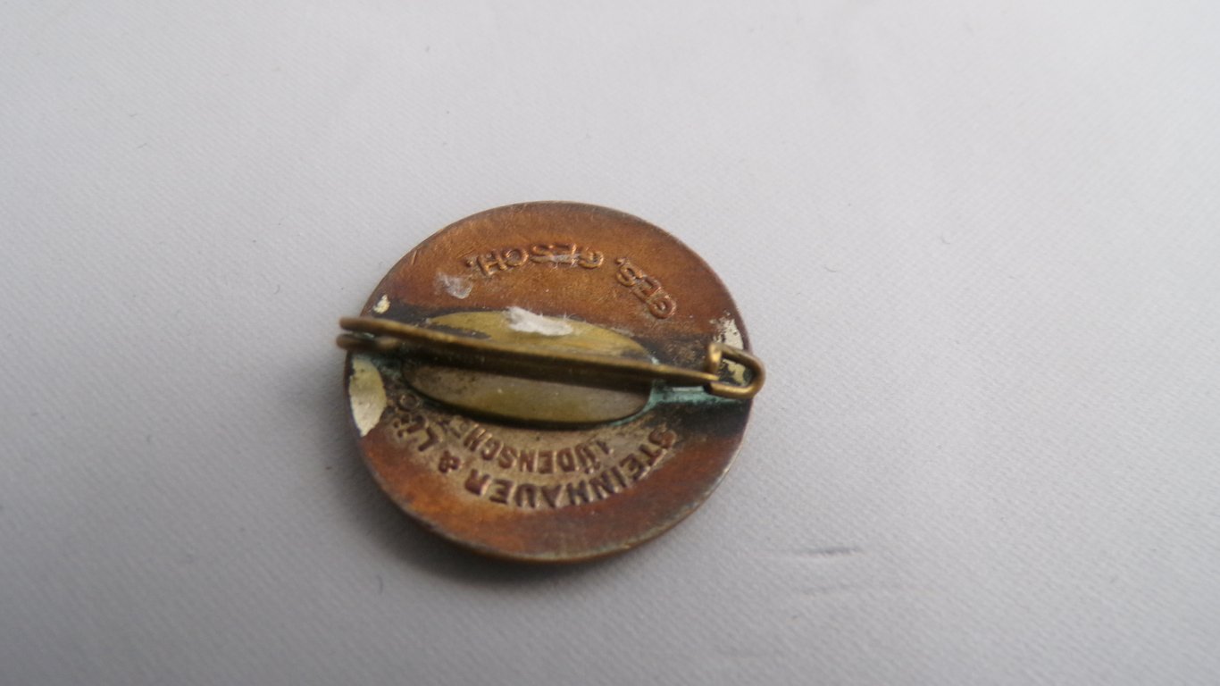 N.S.D.A.P Membership pin