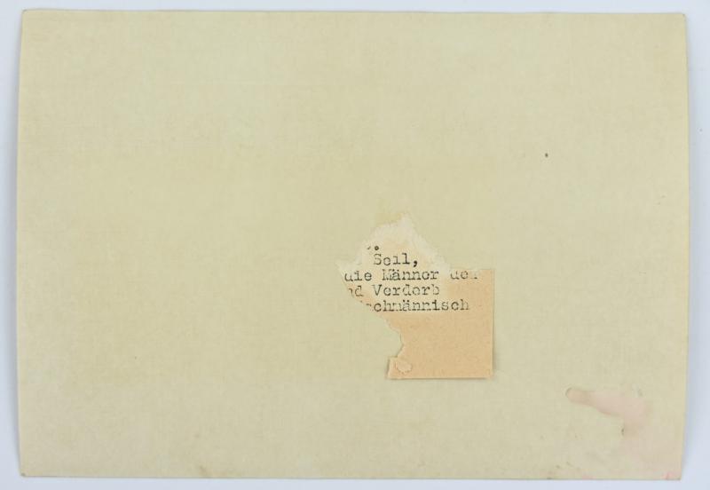German Waffen-SS Prinz Eugen Press Photo