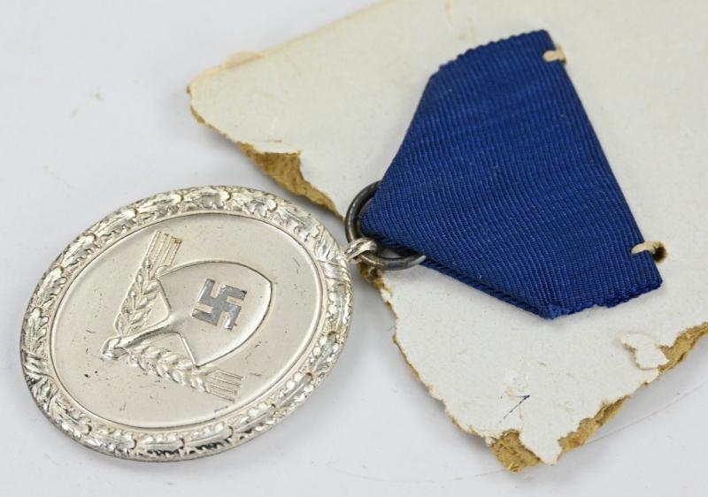 German RAD 12 Years of Service Medal in Silver