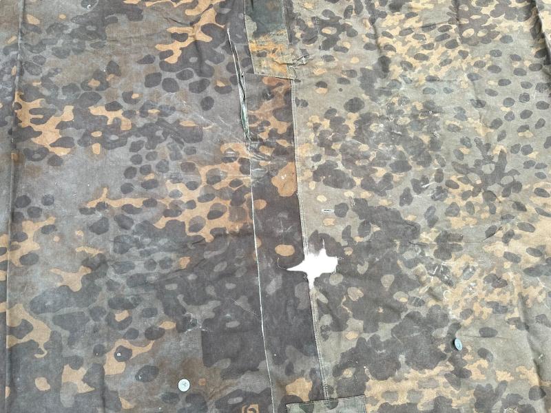 W-SS Plane Tree 6/6 Shelter Quarter