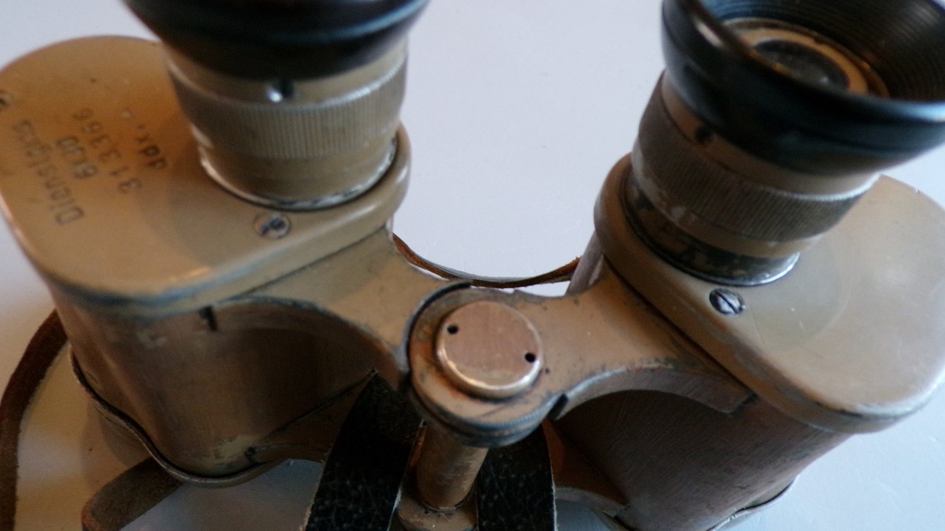 Heer/LW/SS 6 x 30 binoculars by DDX