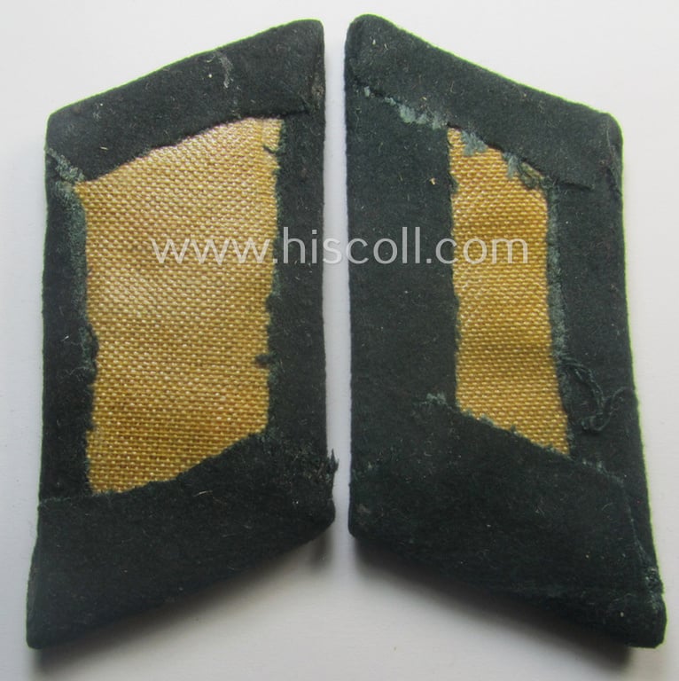 Pair of WH (Heeres) officers'-type collar-tabs (ie. 'Kragenspiegel für Offiziere') as intended for an officer serving within the: 'Veterinär-Truppen o. Generalsstab'
