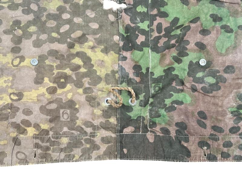 W-SS Plane Tree 6/6 Shelter Quarter