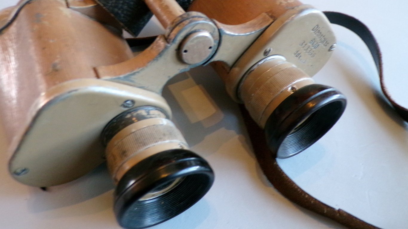 Heer/LW/SS 6 x 30 binoculars by DDX