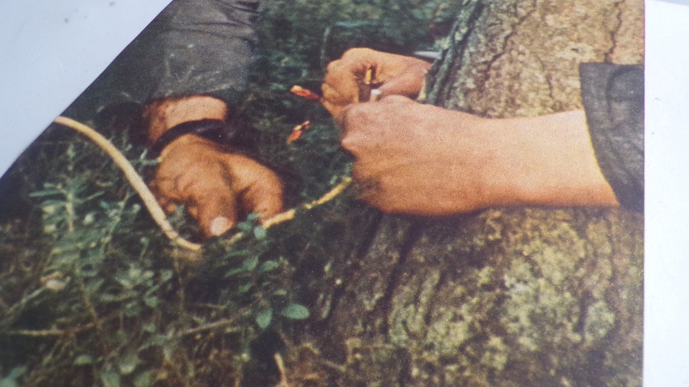 Signaal magazine (Dutch) Nr. 8 1944