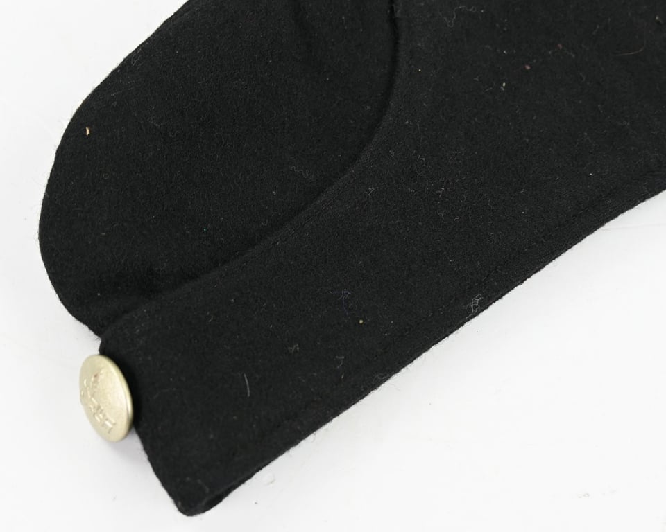 German NSDAP Political Leader Side Cap
