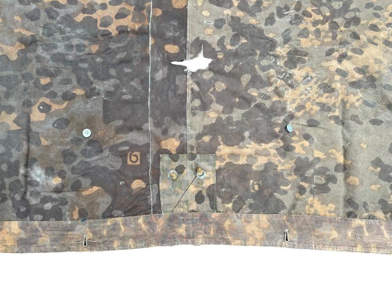 W-SS Plane Tree 6/6 Shelter Quarter